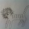 Apples and Oranges and Ligers…..OH MY!!!