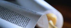 Our Lives as Torah