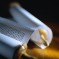Our Lives as Torah