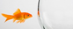 Letter from a Doubter to a Believer