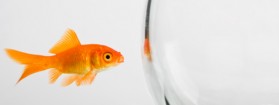 Letter from a Doubter to a Believer