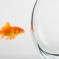 Letter from a Doubter to a Believer