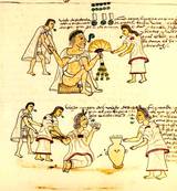 Aztec-codex-mendoza