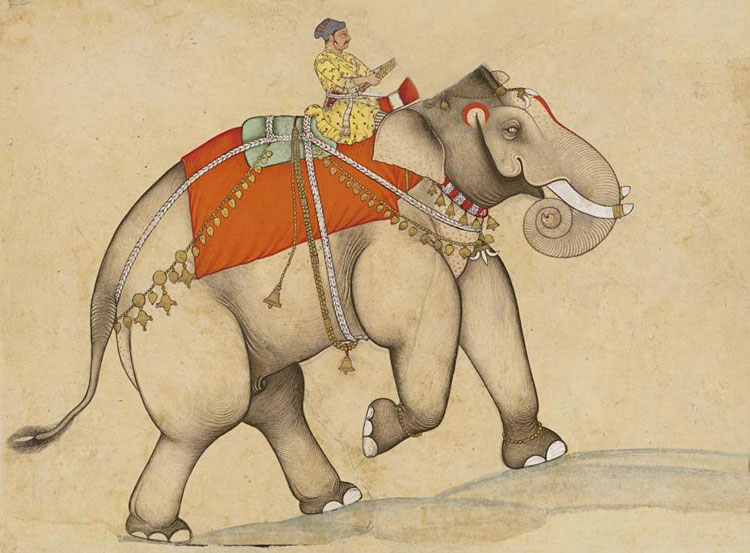 elephant-rider