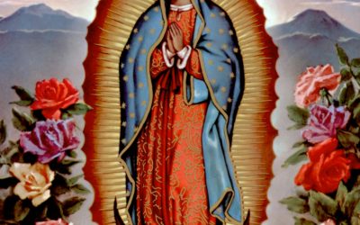 The Deficiencies of Brown Bodies?      My Pilgrimage with Guadalupe