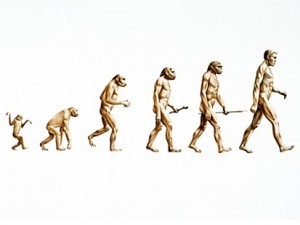 Biological Evolution of Man