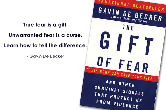 Amazon.com: Fear Less: Real Truth About Risk, Safety, and Security in a  Time of Terrorism: 9781664504523: Gavin de Becker: Books