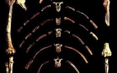 Overcoming the Natural Man: Lessons from Biology