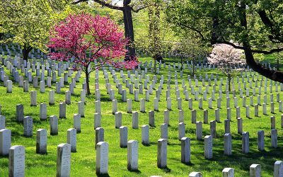 Spiritual Slaughter in Zion