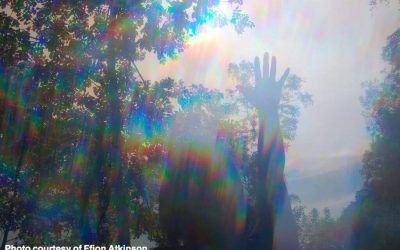 Radical Gratitude