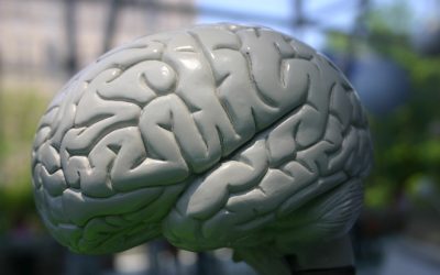 113: A conversation with Michael Ferguson on the neuroscience of religious experience