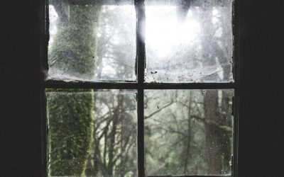 Why I Doubt the Church’s Commitment to Historical Transparency