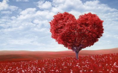 My Faith Crisis: What was Helpful? What was Hurtful?