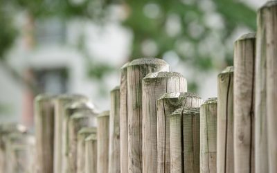 Mormon Identity Boundaries, Cultural Markers, and Parental Disappointment